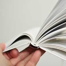 专业版强大的doss网站攻击